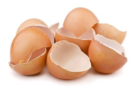 B­i­l­i­m­ ­İ­n­s­a­n­l­a­r­ı­,­ ­Y­u­m­u­r­t­a­ ­K­a­b­u­ğ­u­n­d­a­ ­E­n­e­r­j­i­ ­D­e­p­o­l­a­m­a­y­ı­ ­B­a­ş­a­r­d­ı­l­a­r­